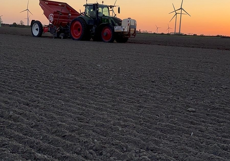 Miedema Pflanzmaschine 02