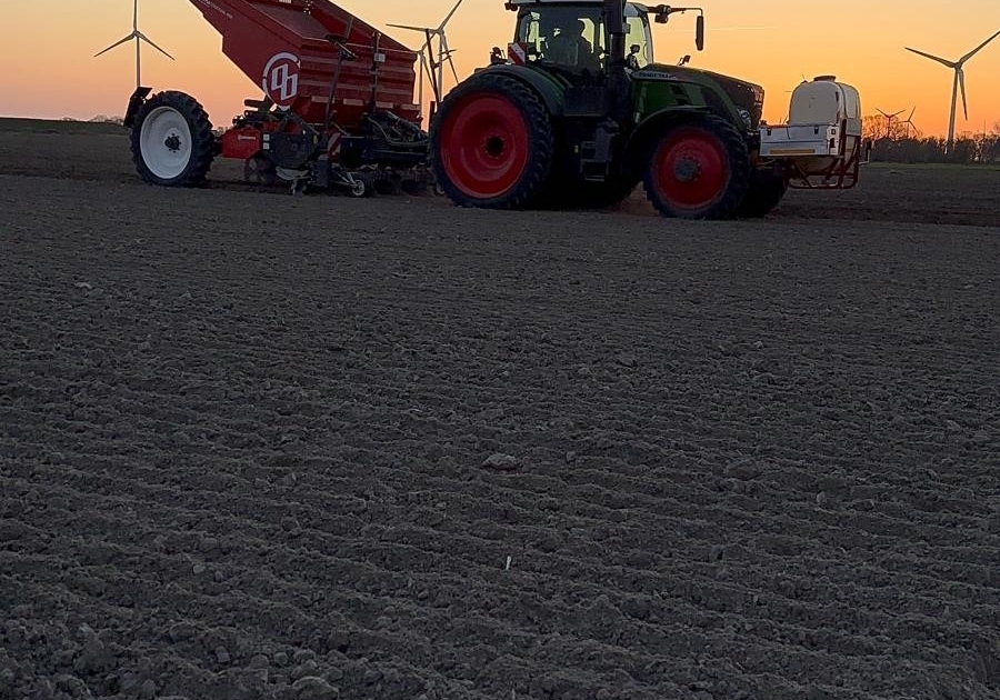 Miedema Pflanzmaschine 03